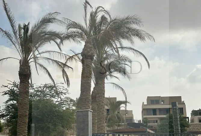 110754219 - Property Image 3