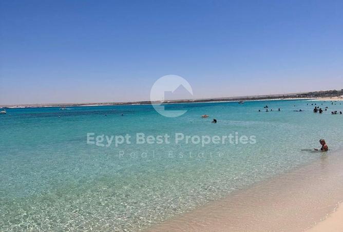 105172230 - Property Image 2