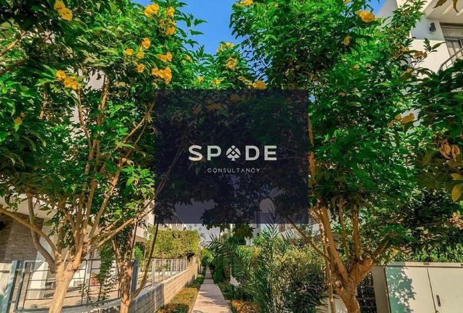 8453413 - صورة العقار 3