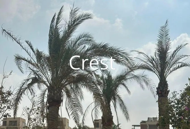 121149558 - صورة العقار 2