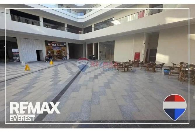 65408986 - Property Image 3