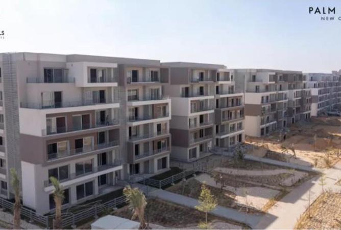 71908394 - Property Image 3