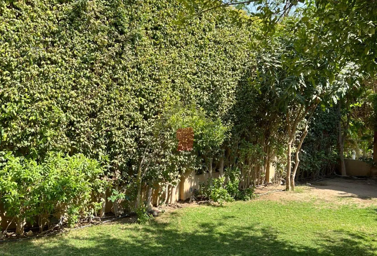 113530939 - Property Main Image