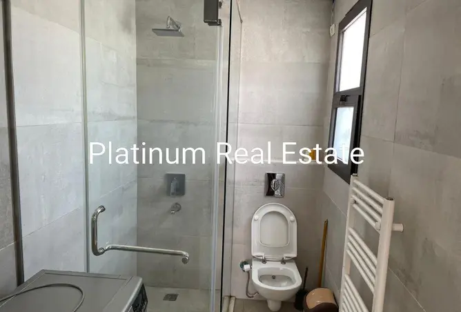 116747925 - Property Image 3