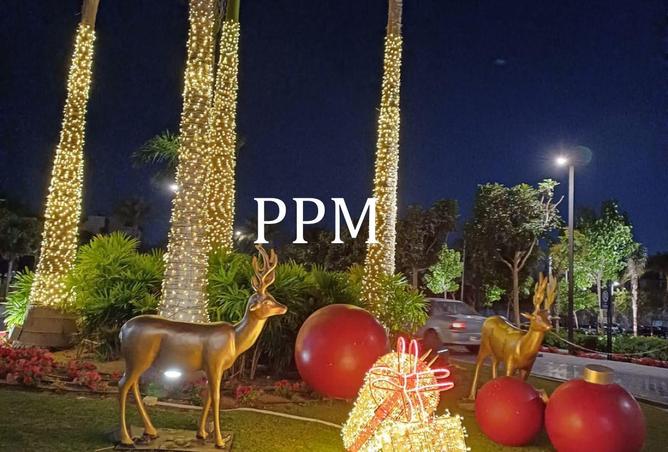 8597231 - Property Image 3