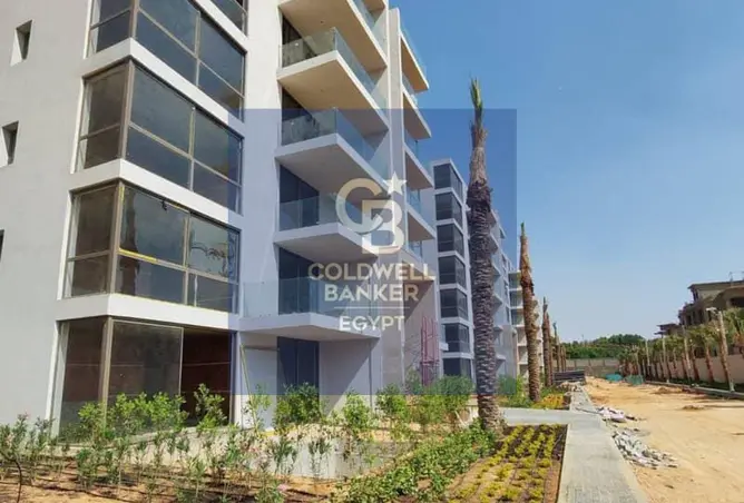 116485610 - Property Image 3