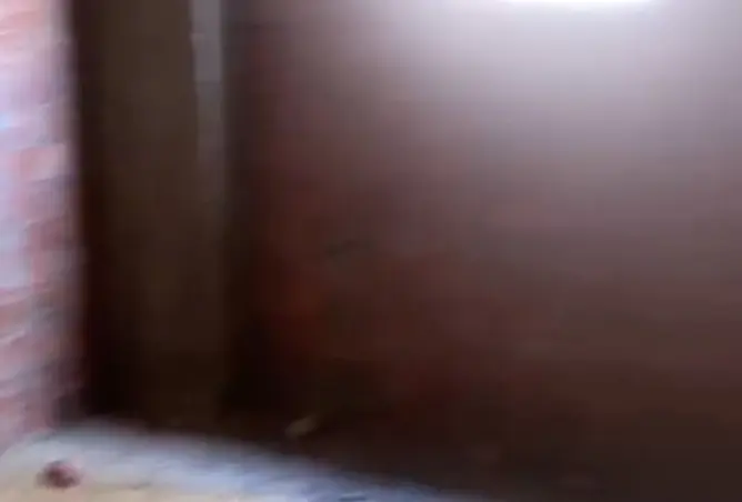 121639832 - صورة العقار 3