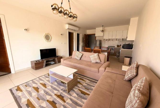 63134554 - Property Image 3