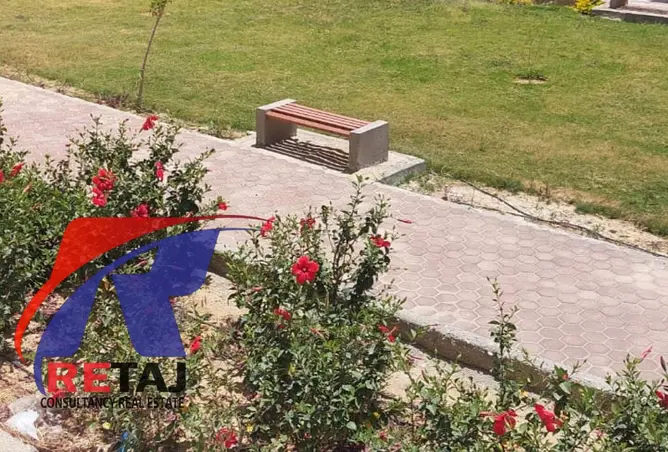 104892104 - صورة العقار 3