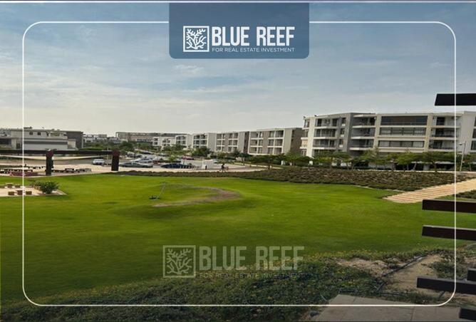 68536735 - Property Image 3