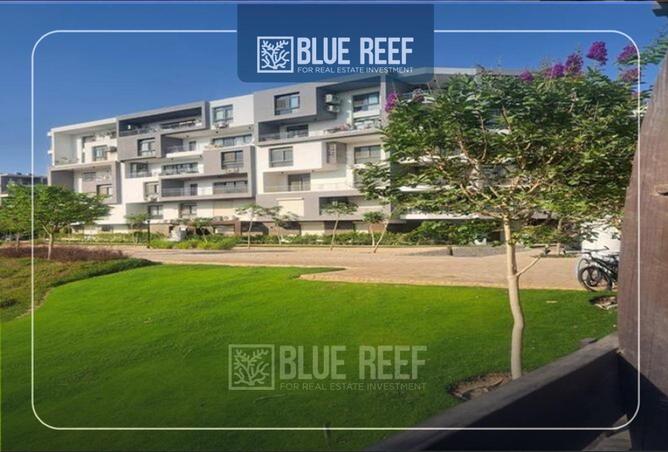 68536735 - Property Image 2