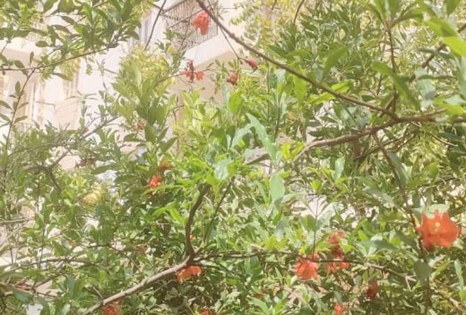 55247356 - Property Image 3