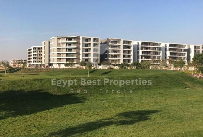 52463367 - صورة العقار 3