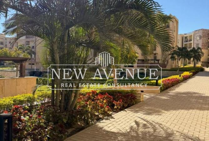 69826054 - صورة العقار 3