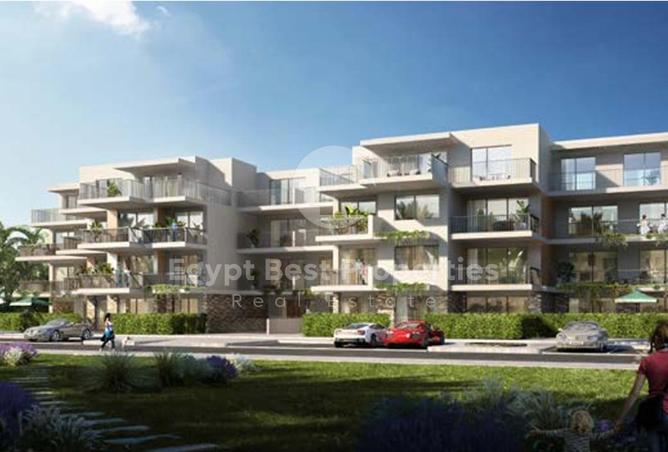 8509335 - Property Image 2