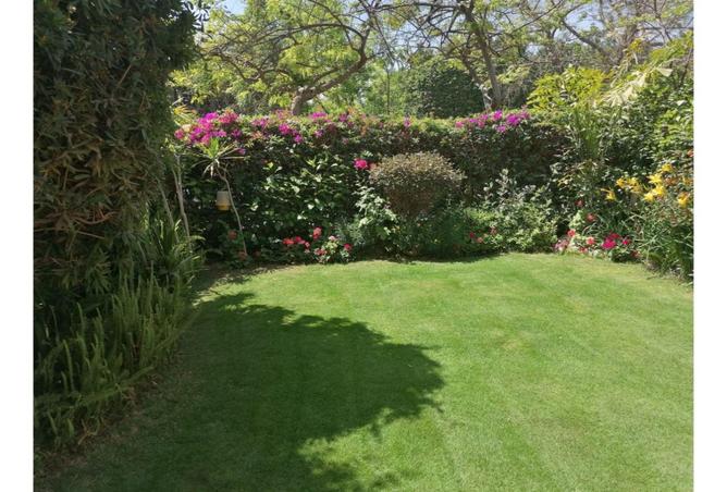 54238448 - الصورة الرئيسية للعقار