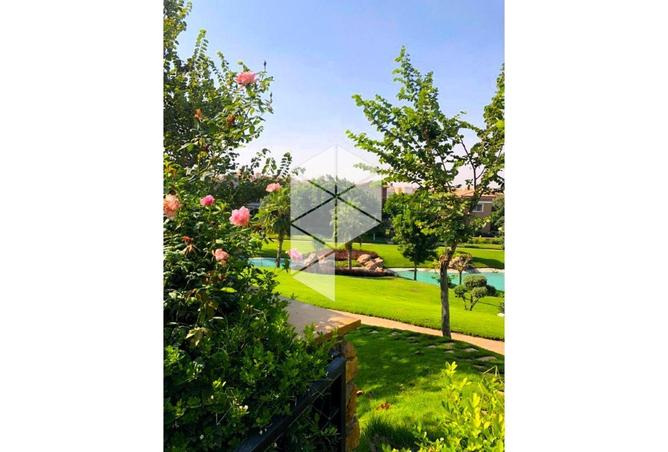 8603471 - Property Image 3