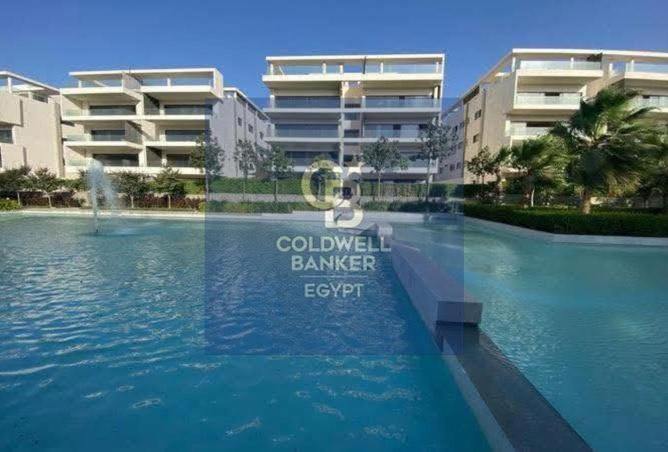 66683905 - Property Image 3