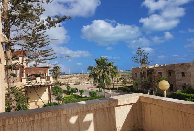 64651042 - صورة العقار 3