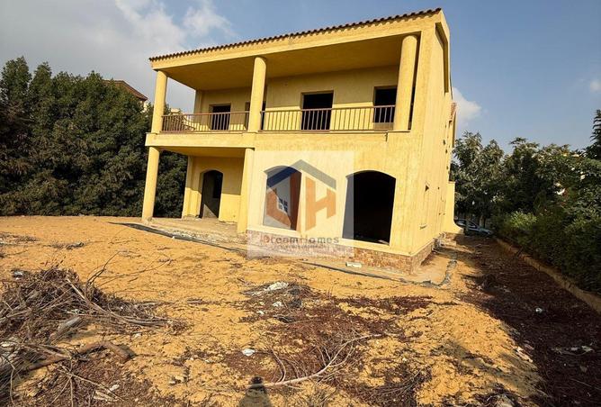 54756905 - Property Image 3