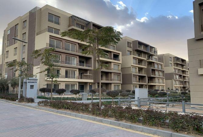 66956621 - Property Image 3