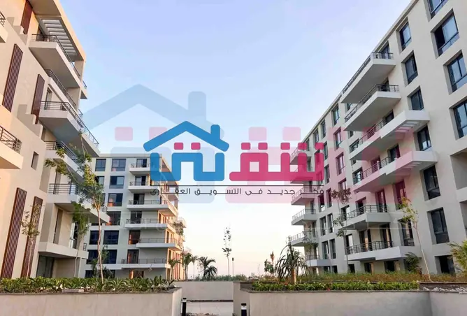 110465992 - Property Image 3