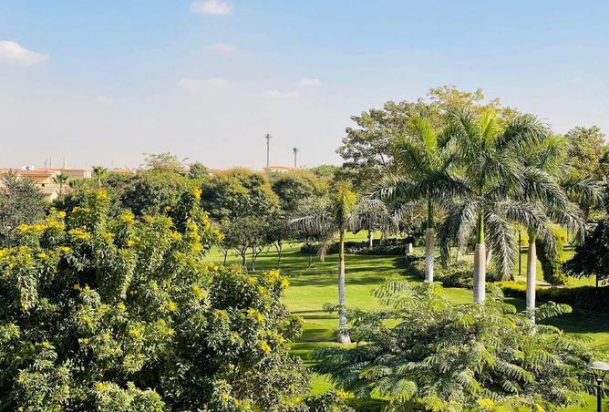 65154526 - صورة العقار 2