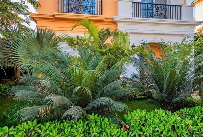 66955161 - Property Image 3