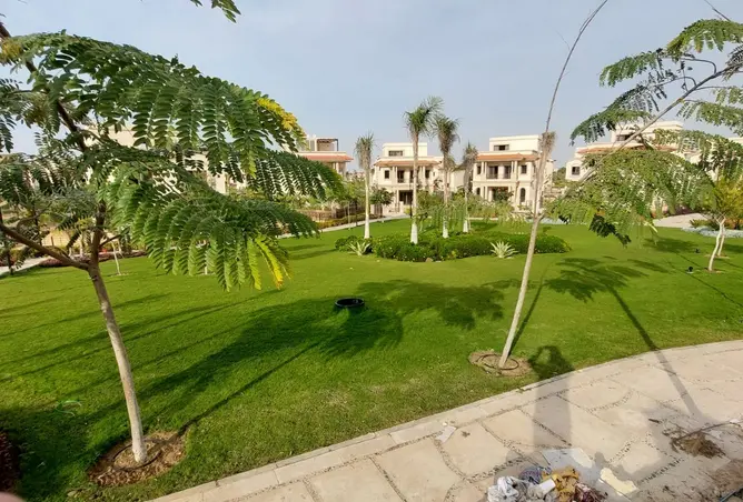 115457260 - Property Image 3