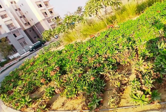 98824825 - الصورة الرئيسية للعقار