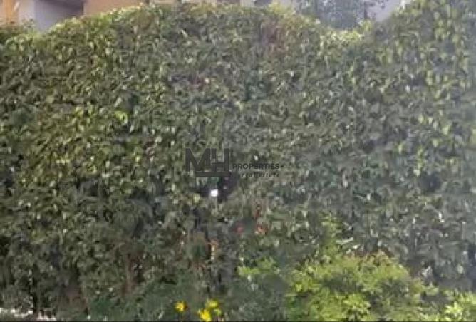 56997380 - Property Image 2