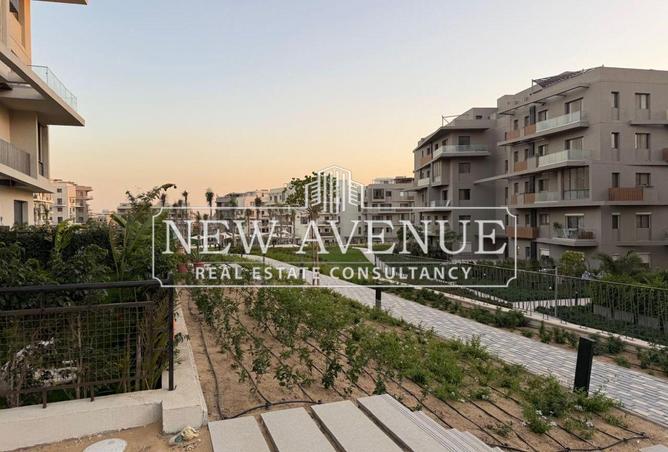 51145160 - Property Image 2