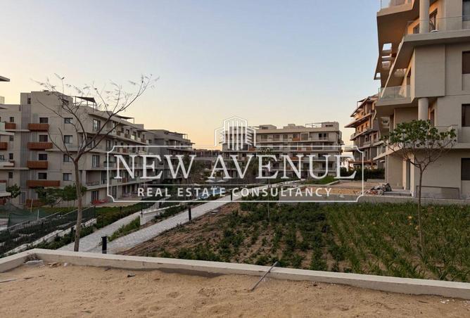 51145160 - Property Image 3