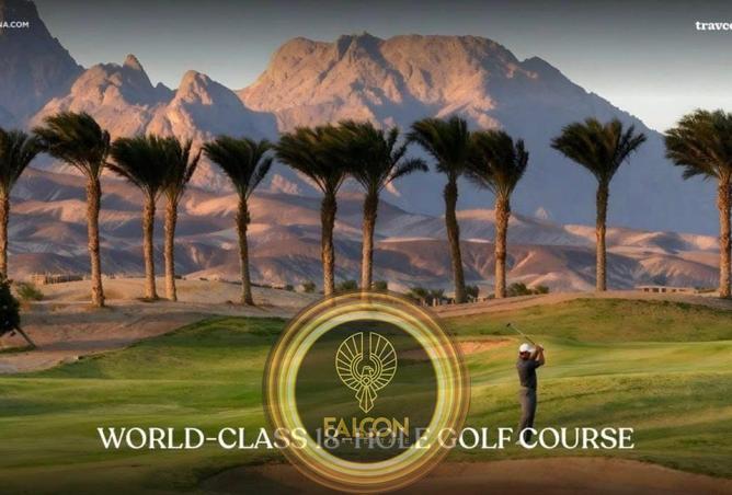 62650136 - Property Image 2