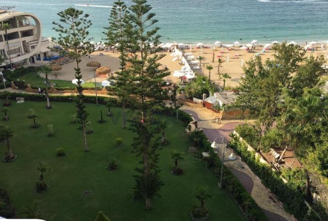 8586129 - صورة العقار 2