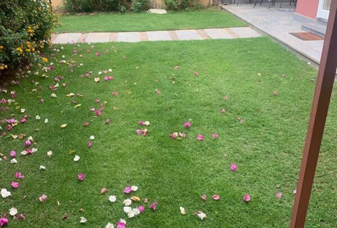 8578557 - Property Image 2