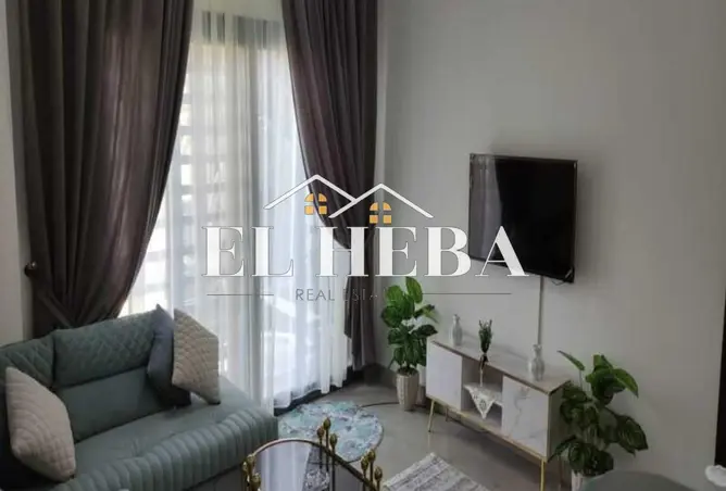 117788134 - Property Image 3