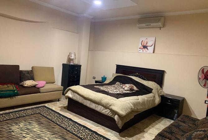 97141756 - Property Image 2