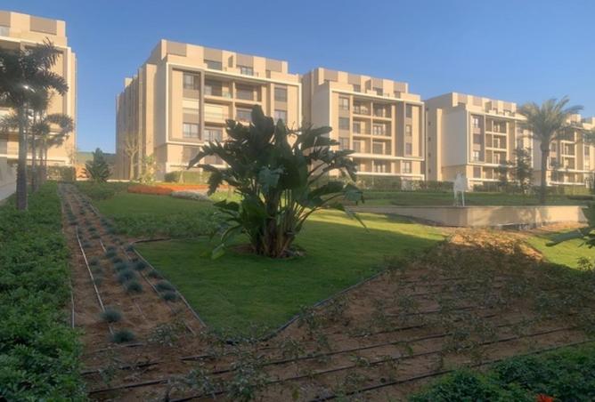 8512748 - Property Image 3