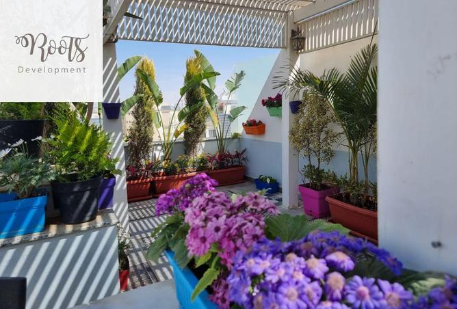 8467587 - Property Image 3