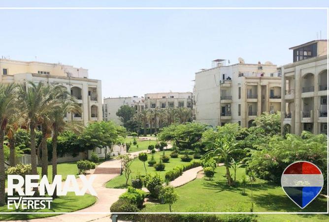 53477996 - صورة العقار 2