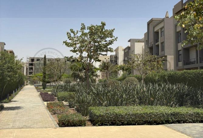 105446643 - Property Main Image