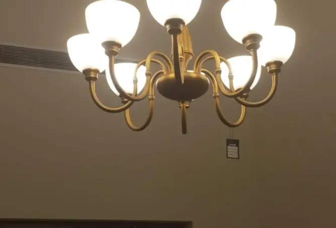 111305641 - Property Image 3