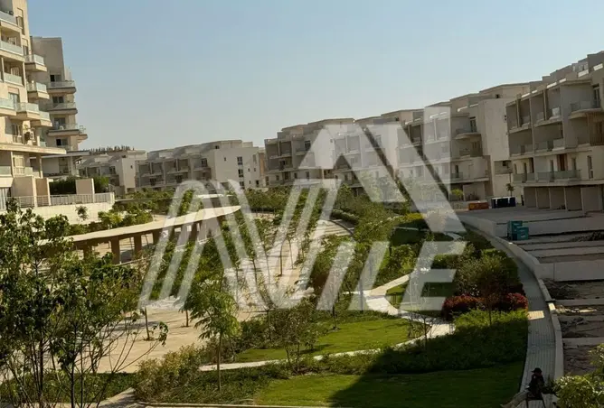 118293896 - Property Image 3