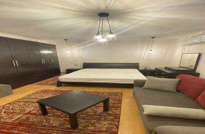 Apartment - Studio - 1 Bathroom for sale in Palm Parks Palm Hills - South Dahshur Link - 6 October City - Giza Apartment - Studio - 1 Bathroom for sale in Palm Parks Palm Hills - South Dahshur Link - 6 October City - Giza