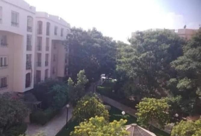 57746200 - صورة العقار 2