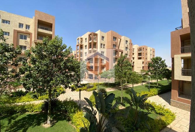 8412799 - صورة العقار 2