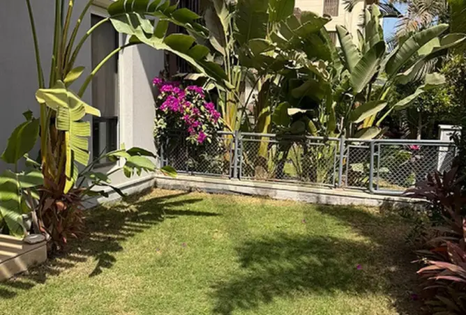 101479401 - صورة العقار 2