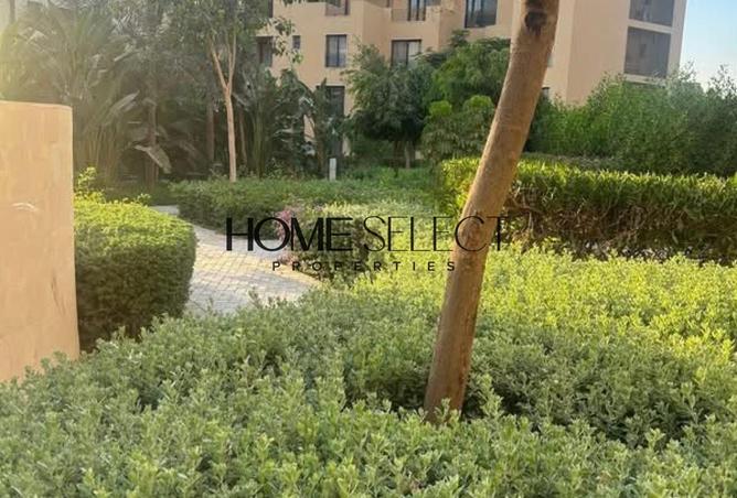 90164773 - صورة العقار 3