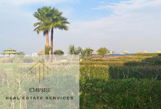 8561013 - Property Image 3